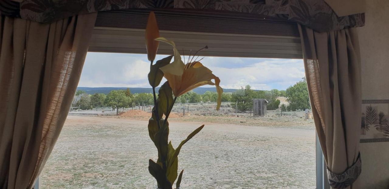 לינה וארוחת בוקר Ramah Mountain Harmony Retreat מראה חיצוני תמונה